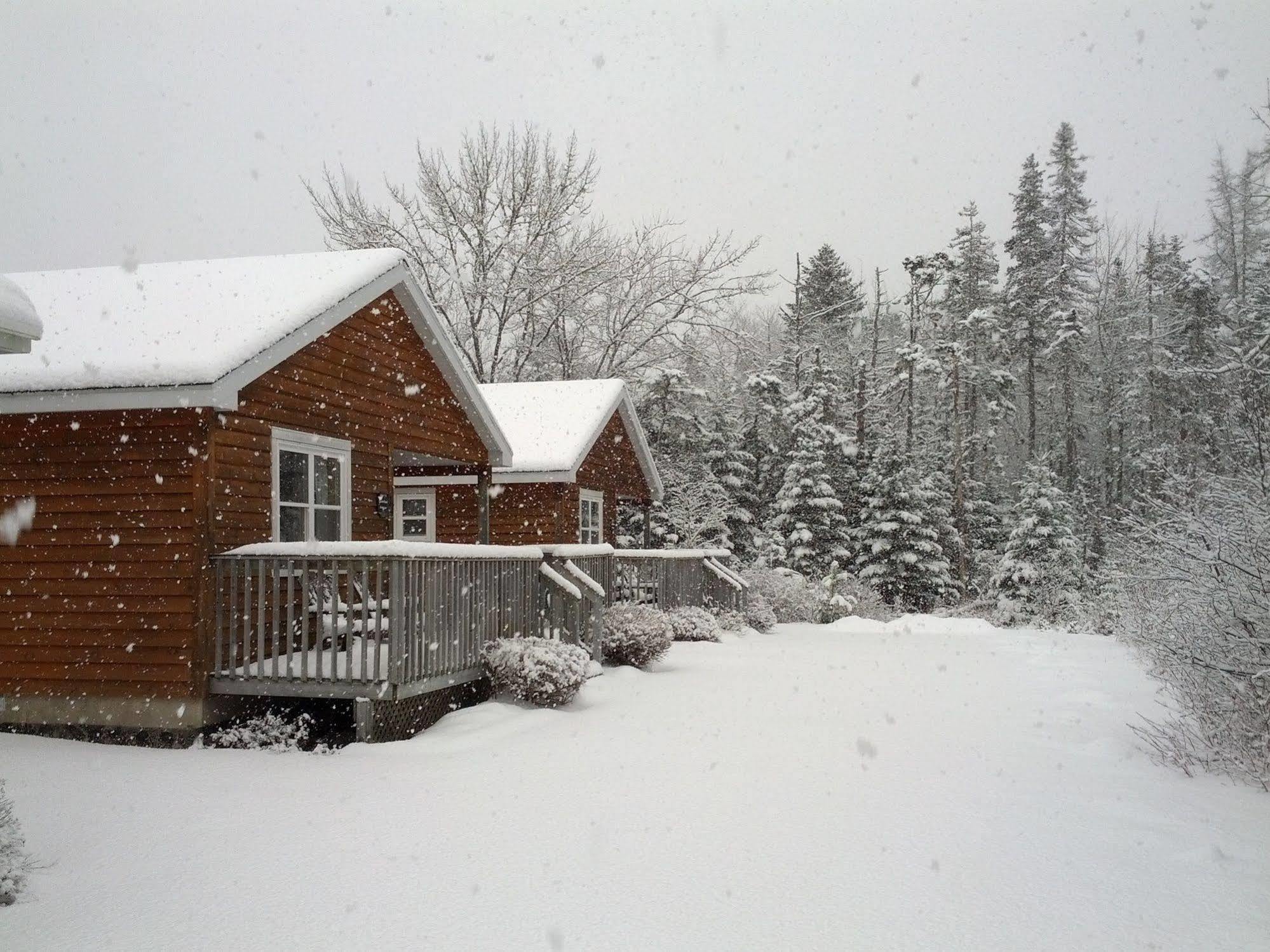 هاليفاكس Anchorage House And Cottages المظهر الخارجي الصورة
